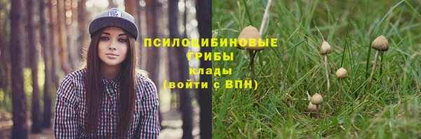 соль курить ск Балабаново