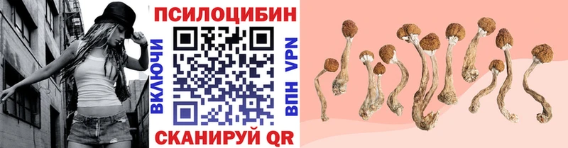наркотики Кунгур Галлюциногенные грибы мицелий